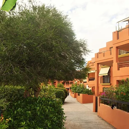 Alquilaencanarias Sotavento A, Terrace & Pool